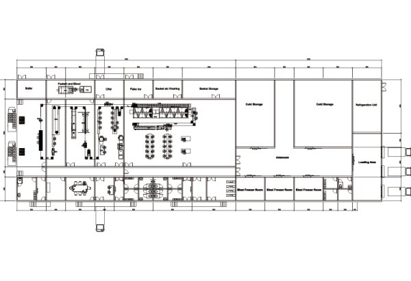 2000 BPH Chicken Slaughterhouse Engineering & Layout Concept