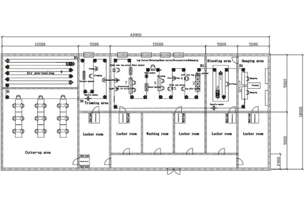 500 BPH Chicken Slaughterhouse Solution