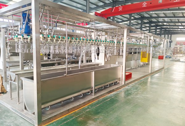 Nigeria 300–800 BPH Compact Poultry Slaughterhouse Equipment Project