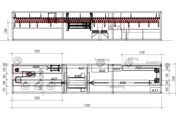 300–1000 BPH Compact Poultry Slaughtering Line with Screw Pre-Chiller