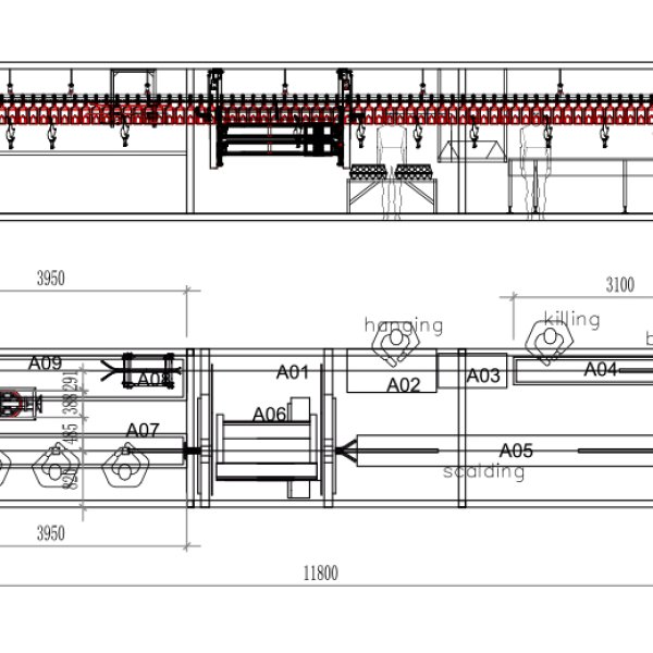 300–1000 BPH Compact Poultry Slaughtering Line with Screw Pre-Chiller