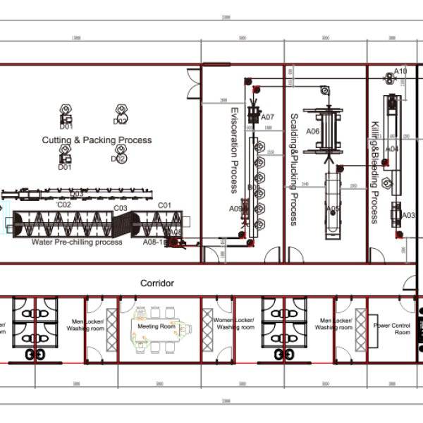 1000 BPH Broiler Chicken Processing Line – Integrated Layout Design