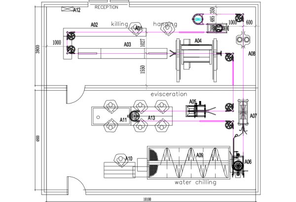 500 BPH Complete Chicken Slaughterhouse Solution