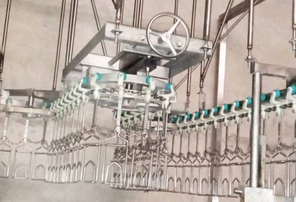 Tanzania 1000 BPH Poultry Processing Line for Slaughterhouse Plant