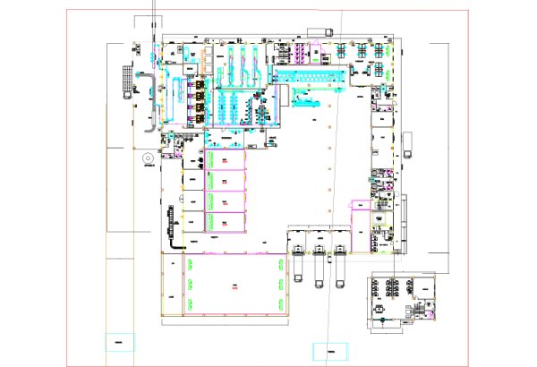 2000 Ducks Per Hour Automatic Duck Slaughtering and Processing Line Solution