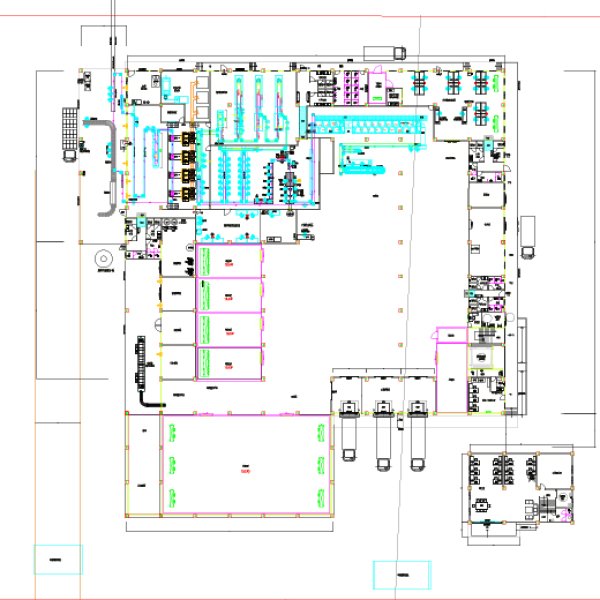 2000 Ducks Per Hour Automatic Duck Slaughtering and Processing Line Solution