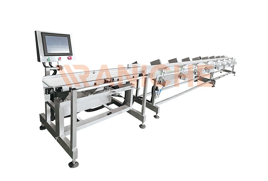Whole Chicken Weight Sorting Machine