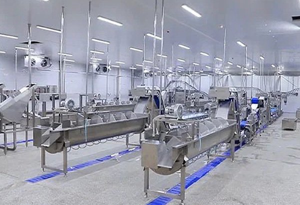 OFFAL PROCESSING
