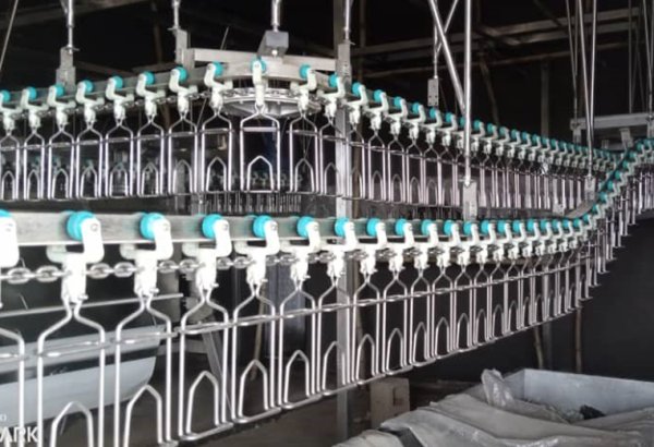 Nigeria – 1000 BPH Complete Chicken Slaughterihouse Equipment with Boiler & Ice Machine