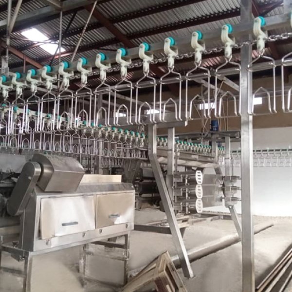 Nigeria 1000 BPH Chicken Slaughtering Line for Poultry Processing Plant