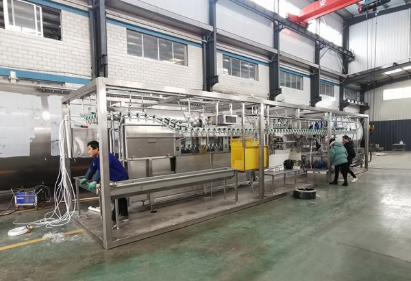Togo 500 BPH Turnkey Poultry Slaughtering Line Project