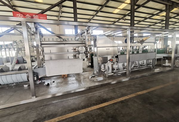 Nigeria 500 BPH Compact Chicken Slaughter Line for Small Poultry Farms