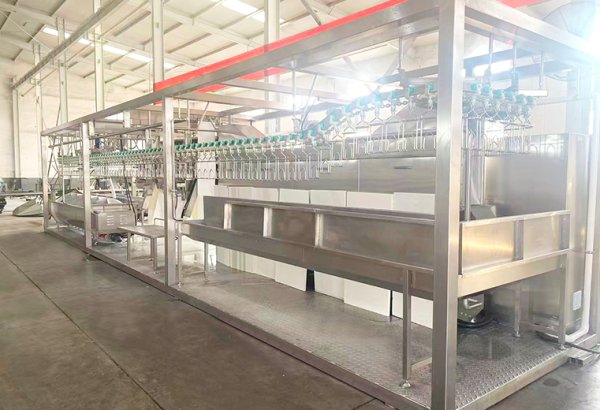 Ethiopia 500 BPH Small Chicken Slaughtering Line Solution
