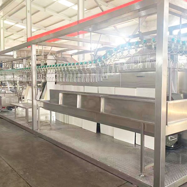 Ethiopia 500 BPH Small Chicken Slaughtering Line Solution