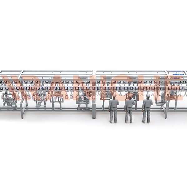 Broiler Chicken Cutting Line