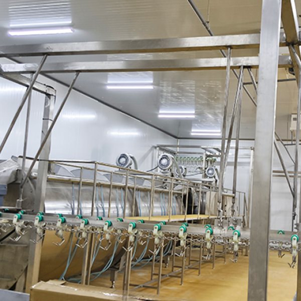 Philippines 3500 BPH Automatic Poultry Slaughterhouse Project with Grading System