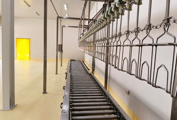 Philippines 2500 BPH Chicken Slaughtering Line for Broiler Processing